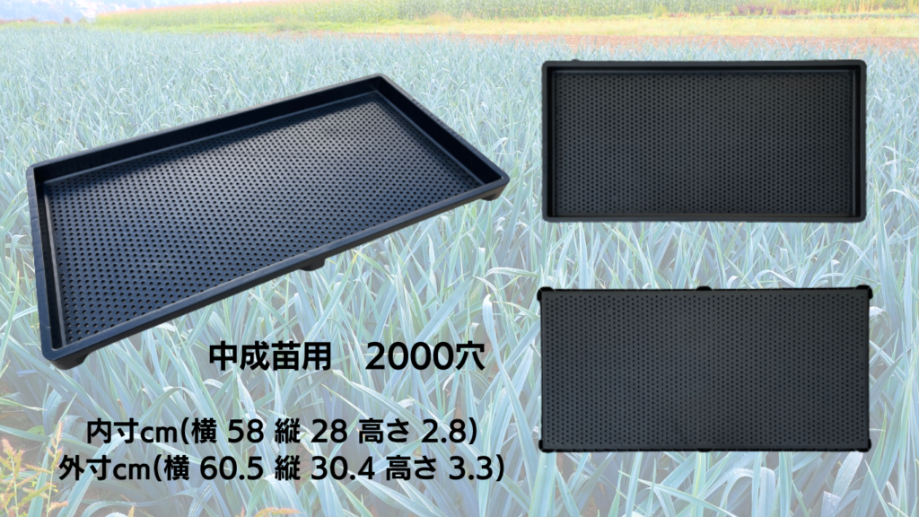 樹脂原料のプロがつくる循環型 育苗箱 | 株式会社中定樹脂
